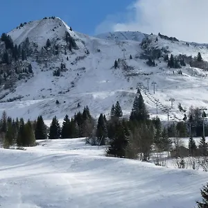 Appartement Les Amborzales, Le Grand-Bornand